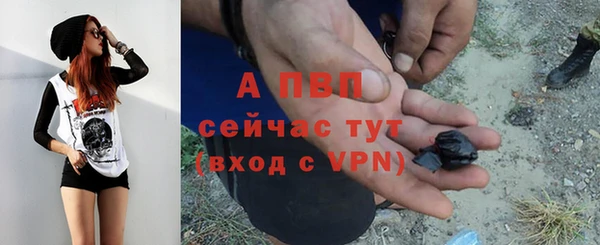 каннабис Пестово