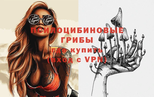 круглые Переславль-Залесский