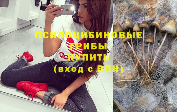каннабис Пестово