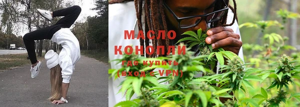 винт Пересвет