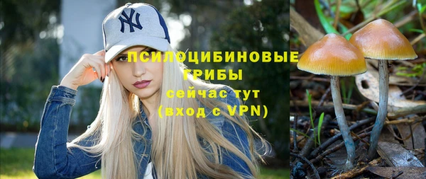 винт Пересвет