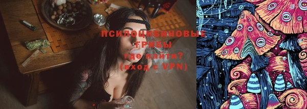 винт Пересвет