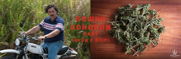 винт Пересвет