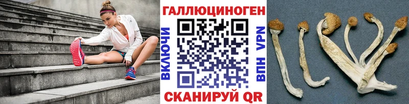 Купить где  Березники  Галлюциногенные грибы Magic Shrooms 